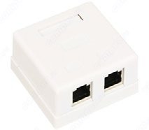 WS-RJ45-8P8C-5e-2P (201-012)